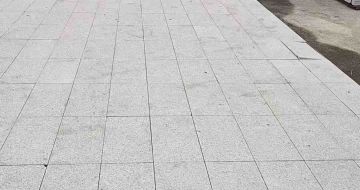 平顶山芝麻白地铺案例