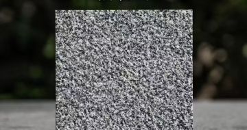 平顶山 芝麻黑荔枝面