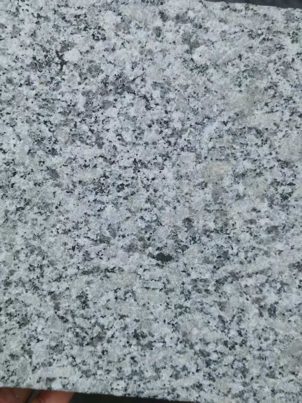 平顶山 芙蓉白火烧面